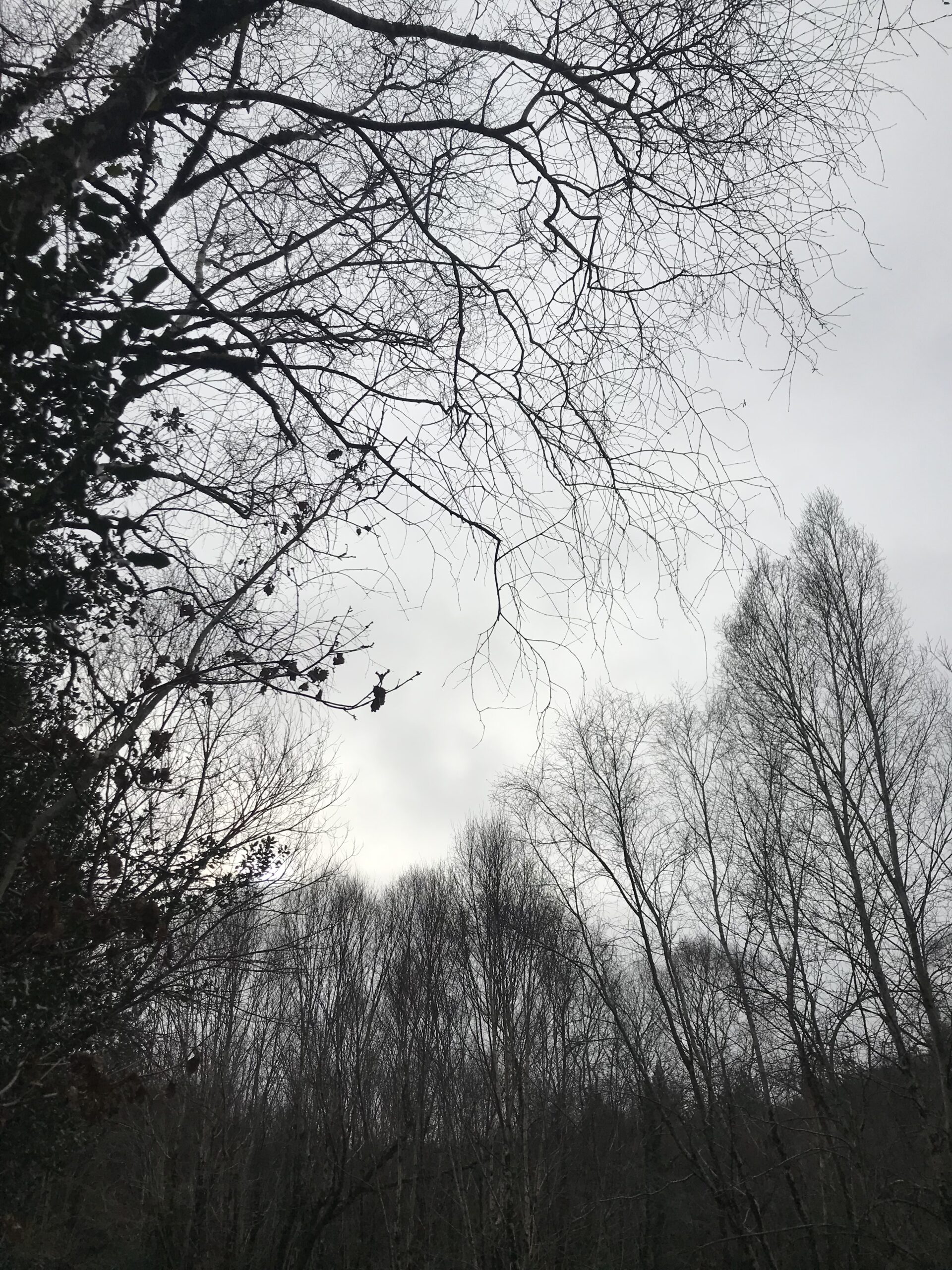 Autumnal Turnings, An Sanctoir, West Cork  with Robin Spiegel and Cathy Ryan Sep 4 – 6